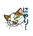 猫とりどり3（個別スタンプ：30）