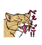 猫とりどり3（個別スタンプ：31）