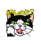 猫とりどり3（個別スタンプ：35）
