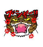 猫とりどり3（個別スタンプ：36）