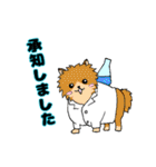 白衣を着た動物たち（個別スタンプ：11）