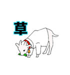 白衣を着た動物たち（個別スタンプ：22）