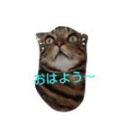 チェリーファミリーパート2（個別スタンプ：2）