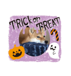 柴ハロウィン（個別スタンプ：6）