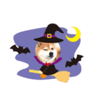 柴ハロウィン（個別スタンプ：8）