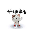 三毛猫むーつん 日常リアクション（個別スタンプ：3）