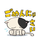 よんひきの猫（個別スタンプ：21）