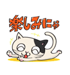 よんひきの猫（個別スタンプ：37）