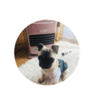 po-ru（個別スタンプ：6）