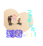 こはむぎげんまいver.1（個別スタンプ：8）