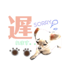 こはむぎげんまいver.1（個別スタンプ：9）