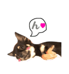 こはむぎげんまいver.1（個別スタンプ：10）