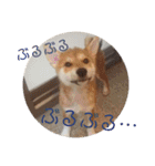 柴犬むぎちゃん（個別スタンプ：32）