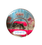 まめすけの使えるスタンプ(ハムスター)（個別スタンプ：5）