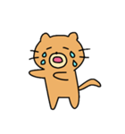 楽しいねこぐま（個別スタンプ：11）