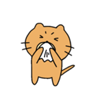 楽しいねこぐま（個別スタンプ：25）