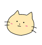 楽しいねこぐま（個別スタンプ：40）