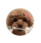 こもも♡るう♡ちー♡ころ♡りっちゃん♡（個別スタンプ：1）