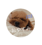 こもも♡るう♡ちー♡ころ♡りっちゃん♡（個別スタンプ：2）