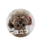 こもも♡るう♡ちー♡ころ♡りっちゃん♡（個別スタンプ：4）