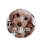 こもも♡るう♡ちー♡ころ♡りっちゃん♡（個別スタンプ：7）