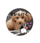 こもも♡るう♡ちー♡ころ♡りっちゃん♡（個別スタンプ：8）