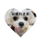 こもも♡るう♡ちー♡ころ♡りっちゃん♡（個別スタンプ：10）