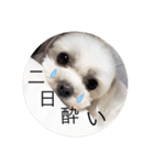 こもも♡るう♡ちー♡ころ♡りっちゃん♡（個別スタンプ：13）