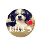 こもも♡るう♡ちー♡ころ♡りっちゃん♡（個別スタンプ：14）