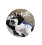 こもも♡るう♡ちー♡ころ♡りっちゃん♡（個別スタンプ：15）