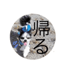 こもも♡るう♡ちー♡ころ♡りっちゃん♡（個別スタンプ：17）
