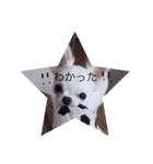 こもも♡るう♡ちー♡ころ♡りっちゃん♡（個別スタンプ：18）