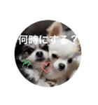 こもも♡るう♡ちー♡ころ♡りっちゃん♡（個別スタンプ：21）