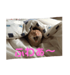 ミルくぅココの日常（個別スタンプ：7）
