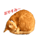 ミルくぅココの日常（個別スタンプ：8）