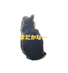 ちゃんこです（個別スタンプ：2）