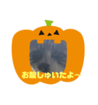 ちゃんこです（個別スタンプ：4）