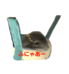 チンチラの日常①（個別スタンプ：6）
