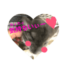 チンチラの日常①（個別スタンプ：16）