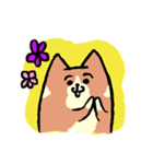 もっちりまったりわんこ（個別スタンプ：1）