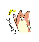 もっちりまったりわんこ（個別スタンプ：4）