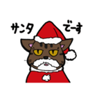 クリスマス版のキジトラ猫（個別スタンプ：8）