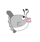 マンボウスタンプ（個別スタンプ：1）