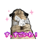 パグのむーさん（個別スタンプ：18）