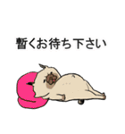 パグのむーさん（個別スタンプ：40）