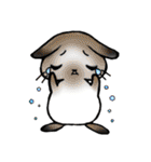 小さな動物たちのスタンプ（個別スタンプ：5）