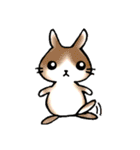 小さな動物たちのスタンプ（個別スタンプ：16）