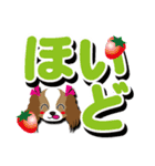 北海道弁【キャバリア/赤褐色＆白】BIG（個別スタンプ：16）
