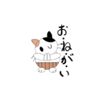 腹巻きを着けた猫（個別スタンプ：3）