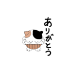 腹巻きを着けた猫（個別スタンプ：9）